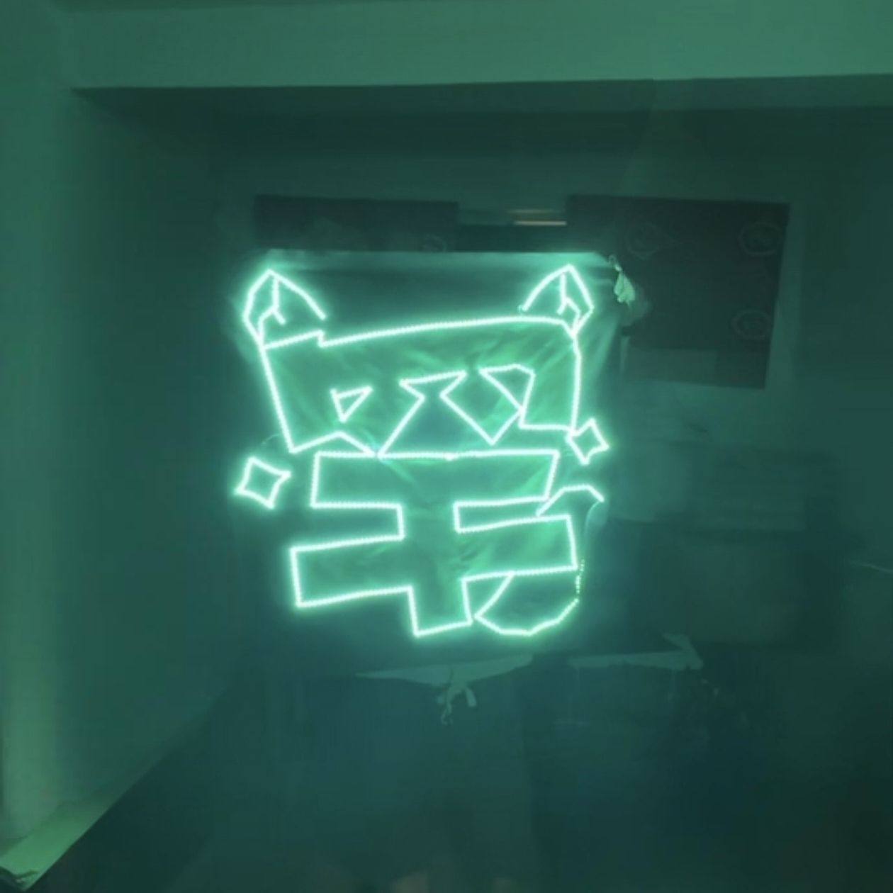 陈思罕粉丝应援明星超薄LED贴片网红发光字演唱会闪亮软灯牌定制图片