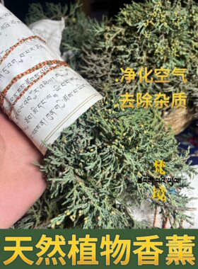 【青藏直发】海拔4000米藏香柏 新鲜师傅采摘 能量更足 净化磁场