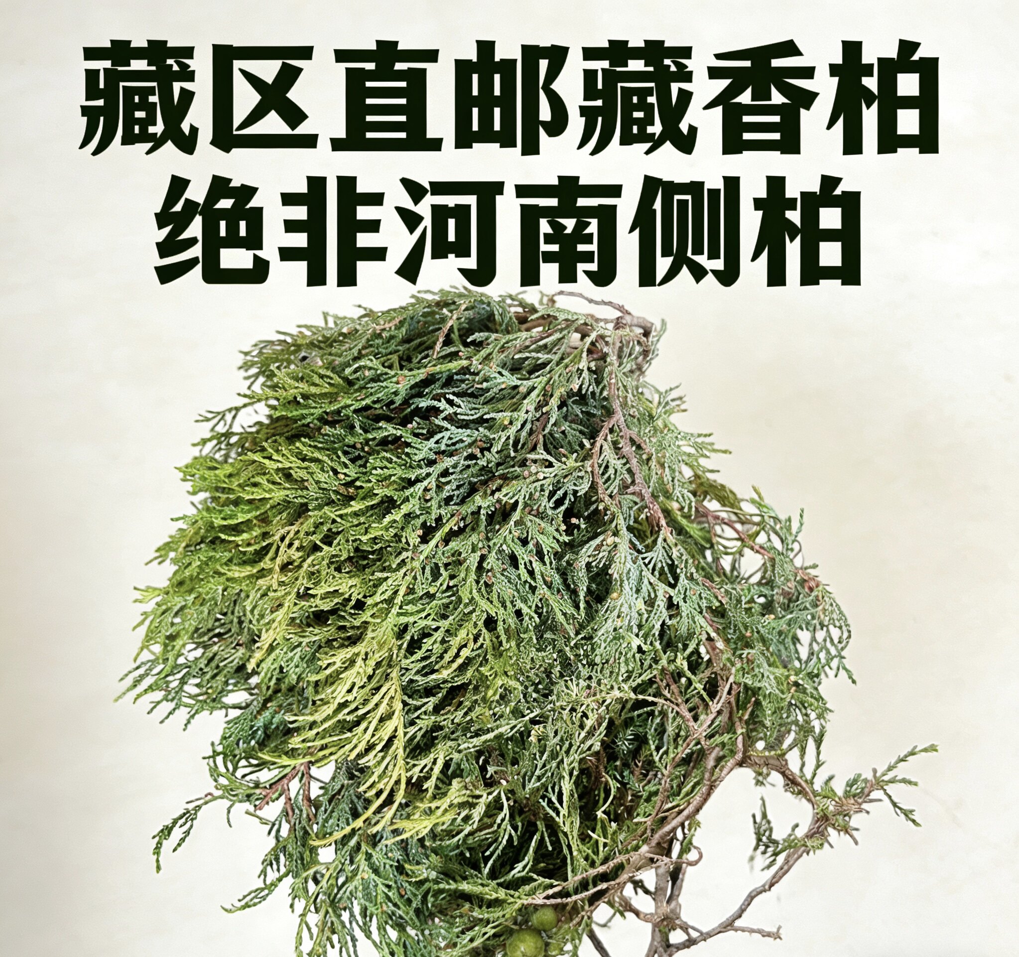 纯天然藏香柏藏区发货家用香薰净化空气