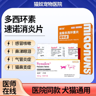 盐酸多西环素片猫用速诺消炎猫咪感冒药狗狗打喷嚏幼猫鼻支专用药