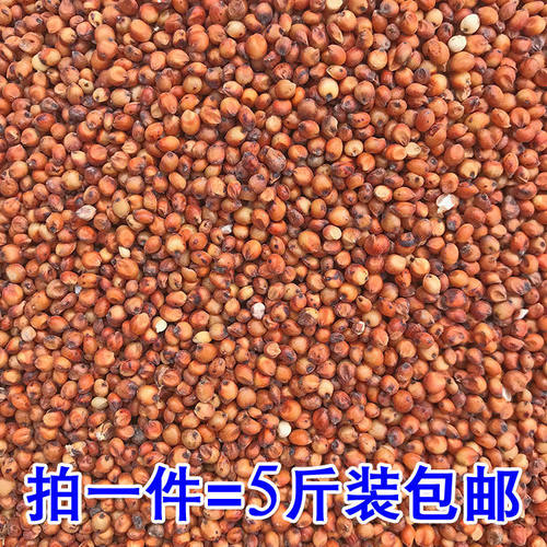 新粮红高粱鸽粮观赏鸽子信鸽饲料玄凤虎皮鹦鹉鸟食小仓鼠宠物粮食