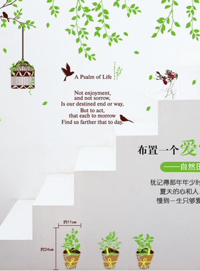 植物花盆鸟笼背景装饰墙壁贴纸