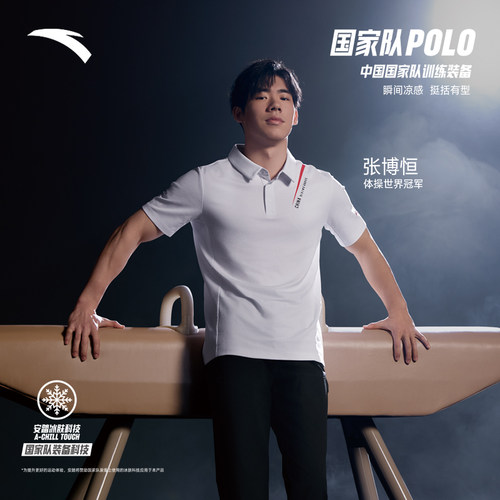 安踏男子冰丝短袖POLO衫