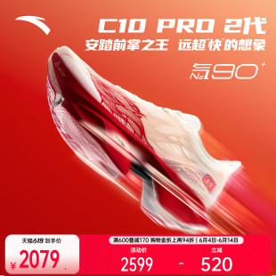 安踏×徐悲鸿奔马图联名丨天马行空系列C10 PRO 2代马拉松跑鞋男