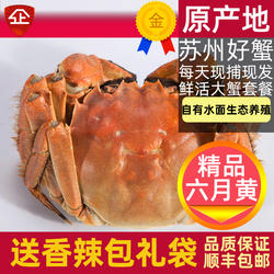 活蟹8只苏州大闸蟹阳澄鲜活大螃蟹公蟹5两全母蟹4两活蟹大蟹礼盒