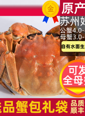 活蟹8只苏州大闸蟹阳澄鲜活大螃蟹公蟹4两全母蟹3两春节生鲜礼盒
