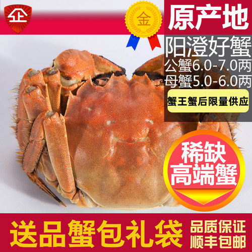 7两苏州鲜活大闸蟹大螃蟹礼盒