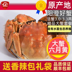 活蟹10只苏州大闸蟹阳澄鲜活大螃蟹公蟹4两全母蟹3两大蟹生鲜礼盒