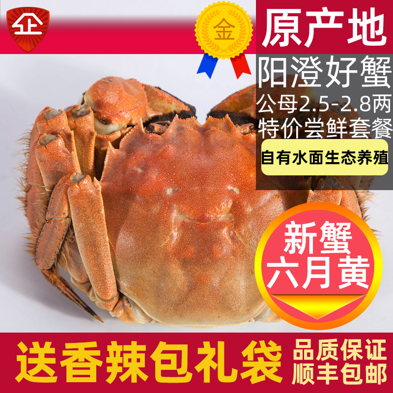 活蟹10只大闸蟹鲜活螃蟹特大公蟹母蟹2.5-2.8两阳澄湖镇旗舰礼盒使用感如何?