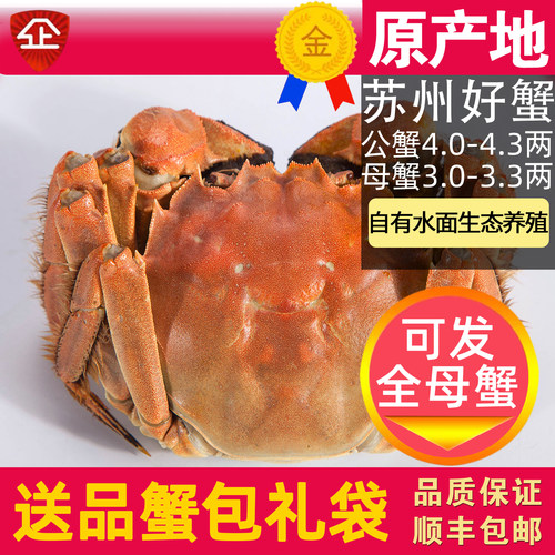 苏州大闸蟹鲜活大螃蟹中秋礼盒装