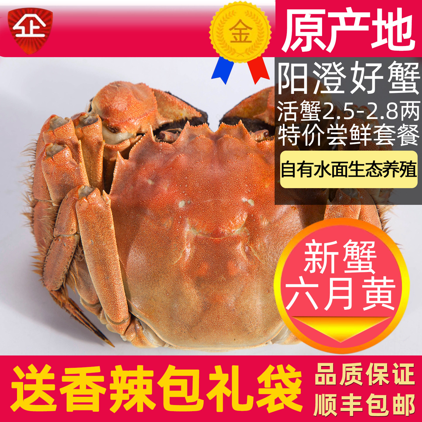 活蟹8只苏州大闸蟹阳澄鲜活螃蟹公蟹母蟹2.5-2.8两大蟹生鲜礼盒