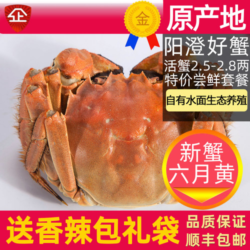 苏州大闸蟹阳澄鲜活大螃蟹礼盒