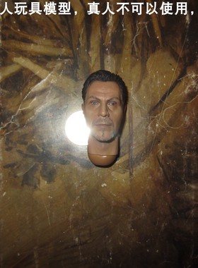 百分之三兵人 1/6 DID 80095 头雕