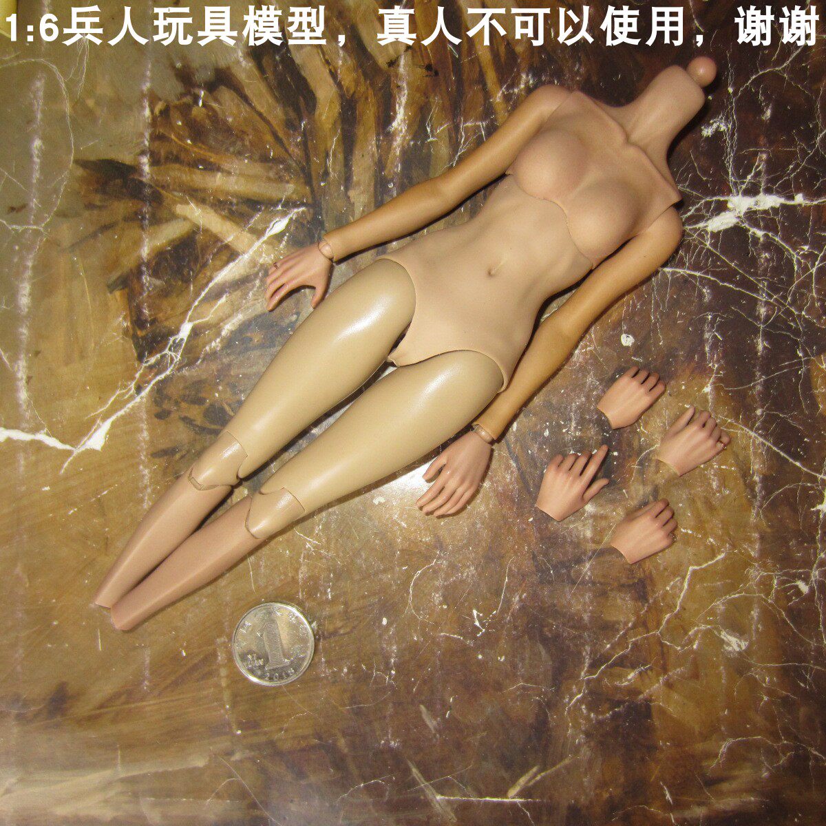 兵人1/6HotToys美女与野兽贝儿