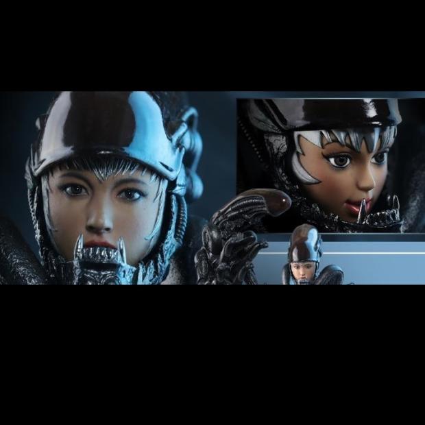 hottoys铁血战士1/6异形女兵人