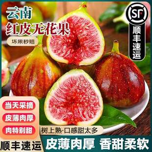【顺丰】云南新鲜无花果红皮无花果整箱装现摘孕妇水果应季无花果
