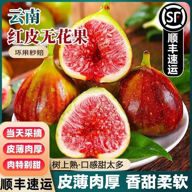 【顺丰】云南红皮新鲜无花果鲜果大果无花果紫皮无花果新鲜现摘