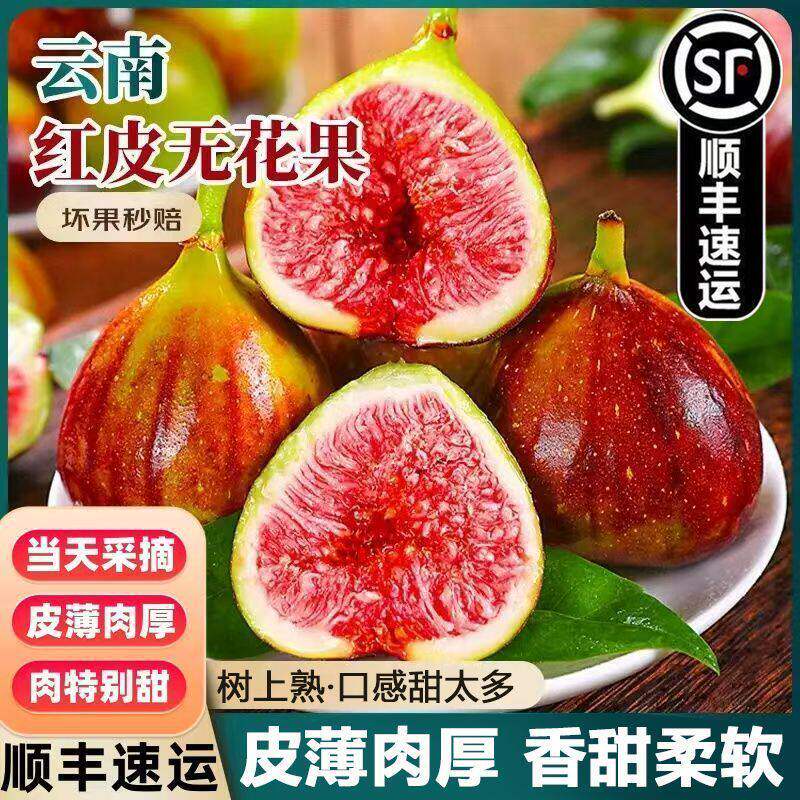 【顺丰】云南红皮新鲜无花果鲜果大果鲜无花果紫皮无花果新鲜现摘