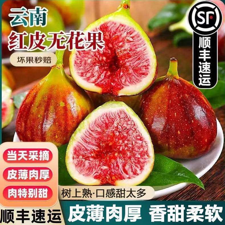 【顺丰】云南红皮新鲜无花果鲜果大果鲜无花果紫皮无花果新鲜现摘