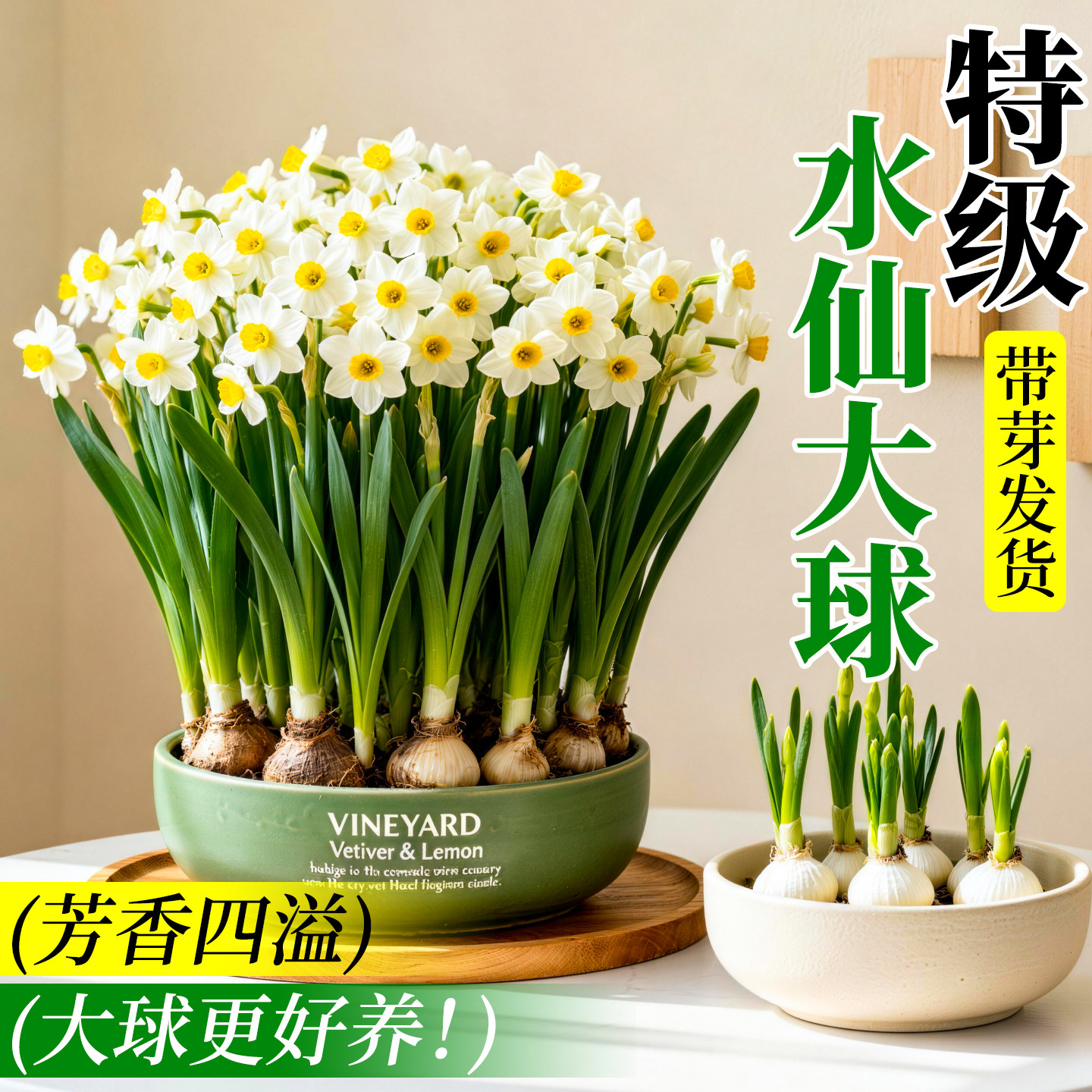 特级水仙花大球水培盆栽水养花卉带花苞室内绿植好养带盆雕刻植物,鲜花速递/花卉仿真/绿植园艺,时令草本花卉,淘宝优惠券,粉丝福利购,淘宝优惠卷