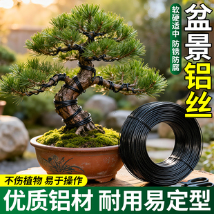 盆景造型专用铝丝包胶三角梅植物定型园艺绿植铝线花卉塑形不生锈