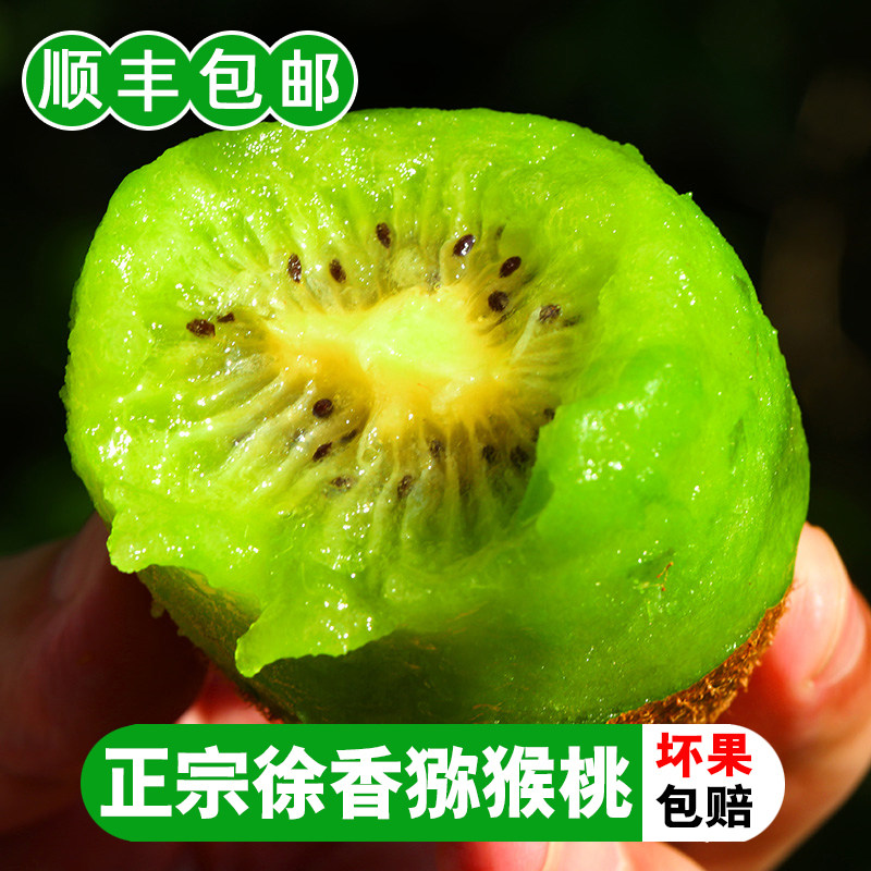 荆姚惠家新鲜水果顺丰包邮