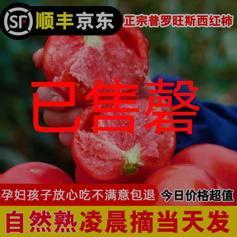 官方推荐正宗陕西普罗旺斯西红柿