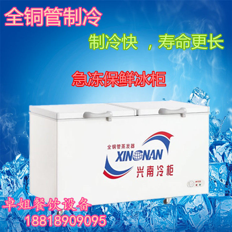 兴南铜管BD/BG-520卧式急冻冰柜商用大冷柜单温双门顶盖冰箱雪糕