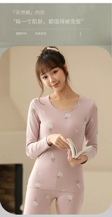 套3515 贴身内穿春秋冬季 万邦狐印花纯棉保暖内衣套女士薄款 打底衫