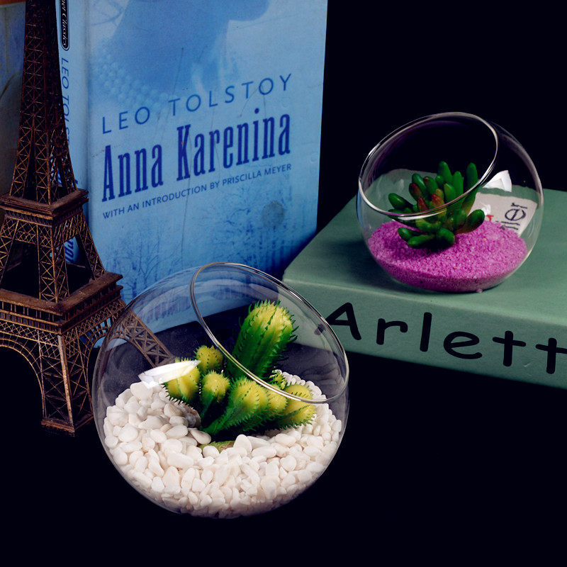 生态瓶青苔藓微景观绿植物盆栽鲜活创意diy材料包小盆景桌面摆件