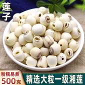 新莲 湖南特产湘潭白莲子干货去芯500g无芯取芯磨皮湘莲中药材