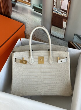 手工定制 铂金包hcp雾面港鳄倒V鳄鱼皮 8L冰川白金扣bin30kin