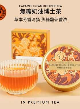 T9小金罐焦糖奶油博士茶叶花草茶冲饮花果茶包热泡茶送礼盒35g装