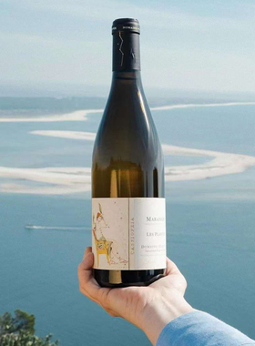 Cassiopee Les Paizets 2021 仙后座酒庄 黑皮诺 干红 原瓶进口