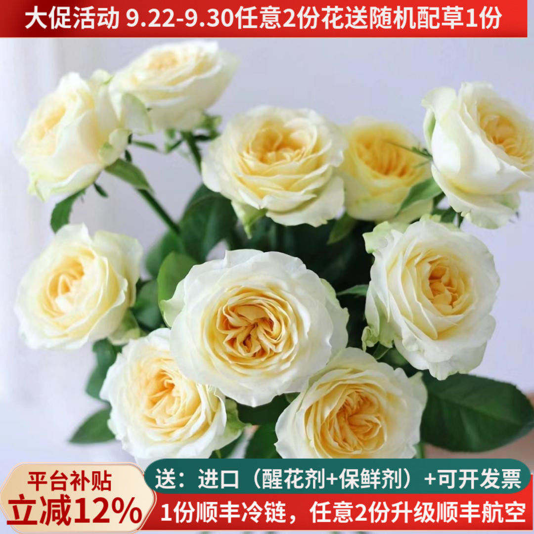 C级稀有玫瑰鲜花集合，多品种