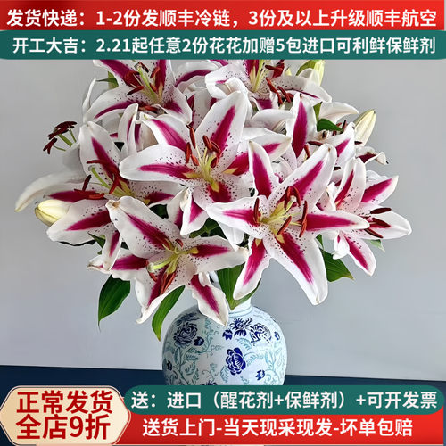大朵香水百合-多色可选-基地直发