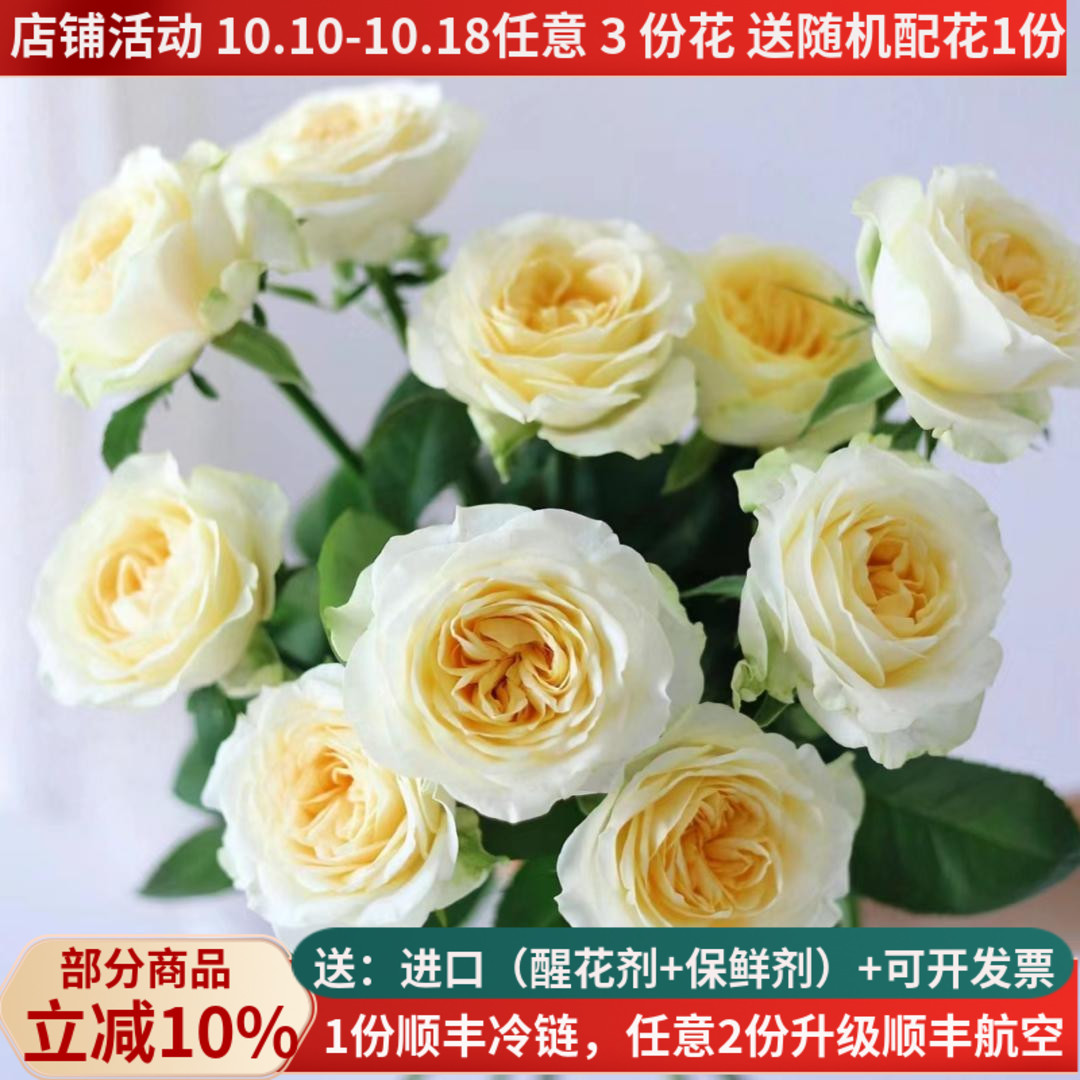 C级稀有玫瑰鲜花集合，多品种