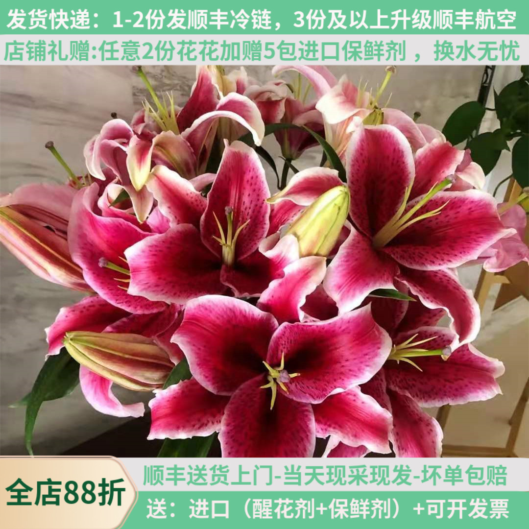 黑美人香水百合鲜花教师节
