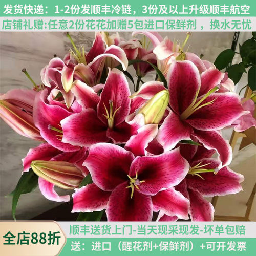黑美人香水百合鲜花教师节
