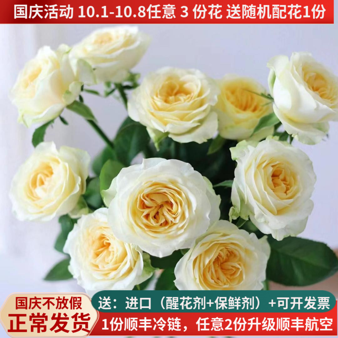 C级稀有玫瑰鲜花集合，多品种
