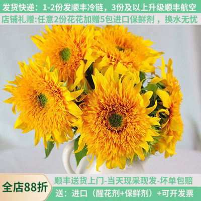 重瓣泰迪向日葵教师节花束顺丰