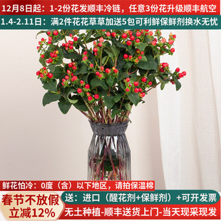 红豆花束红相思豆鲜花云南直发直批家用新年基地斗南花市花卉市场