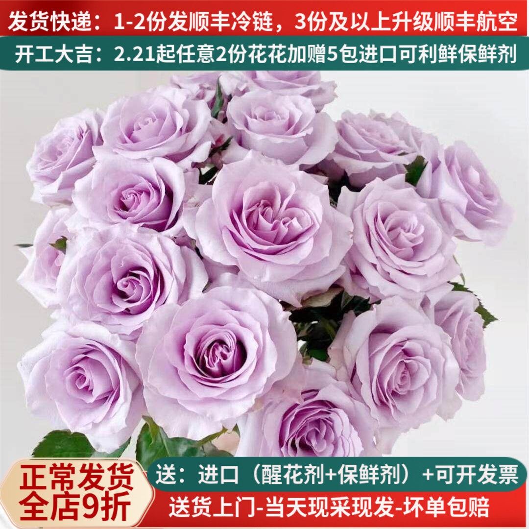A级海洋之歌玫瑰直批花束基地直供直发家用斗南花市云南鲜花紫色