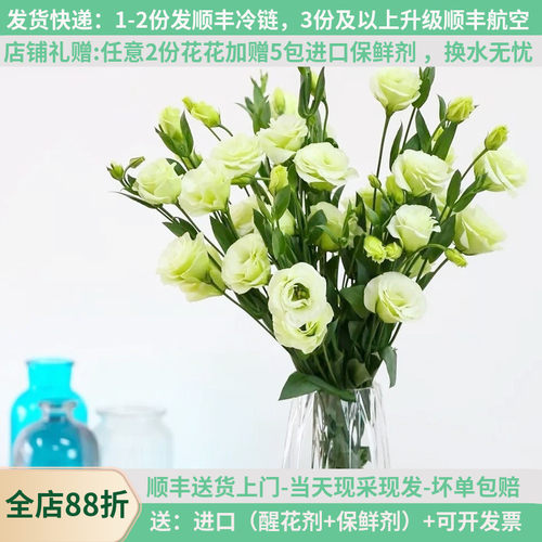 清新淡雅洋桔梗，西洋玫瑰花