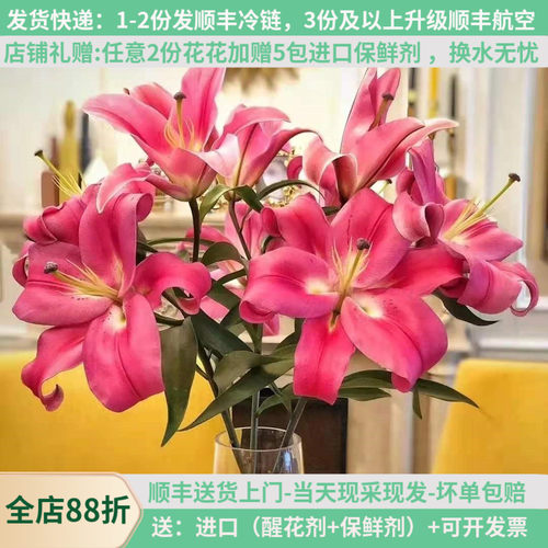 A级罗宾娜百合鲜花云南基地直发