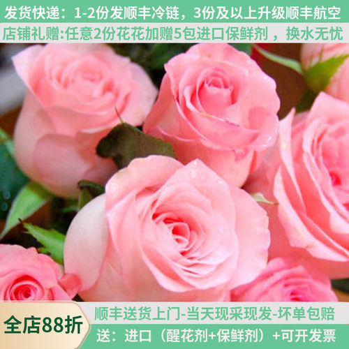 戴安娜玫瑰花鲜花直批云南昆明