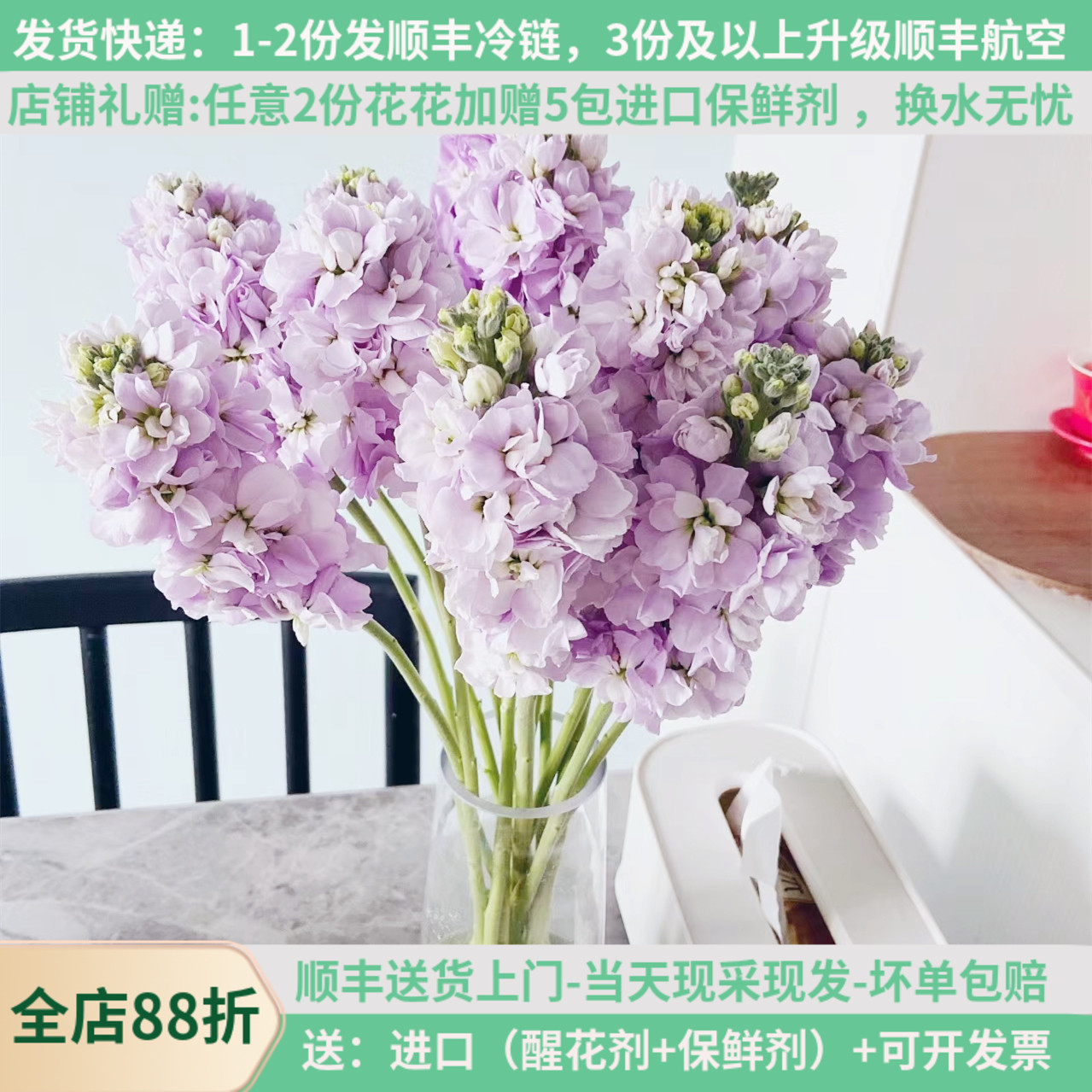 重瓣紫罗兰白粉紫香槟10支顺丰图片