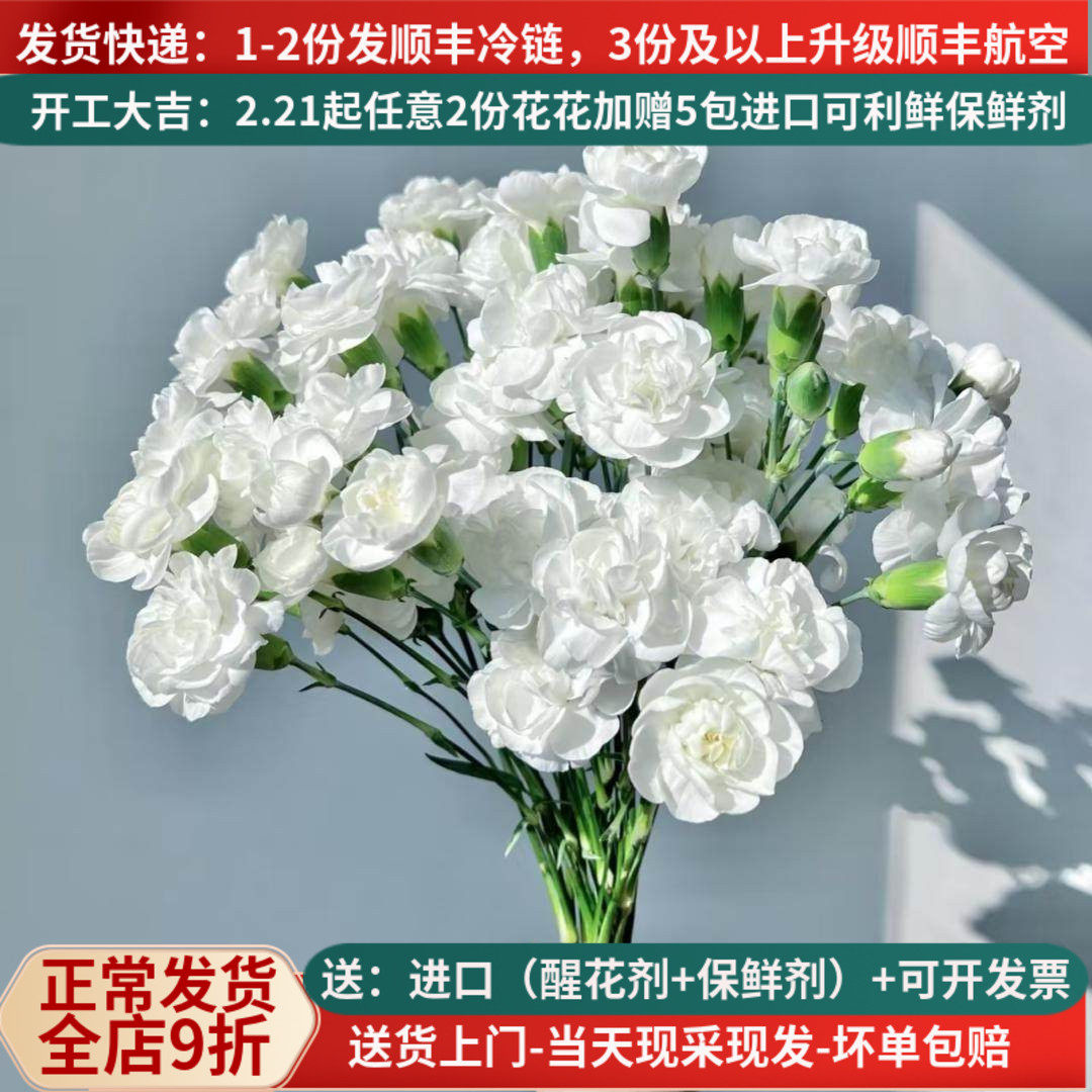 康乃馨愿君心似花，岁岁常芬芳