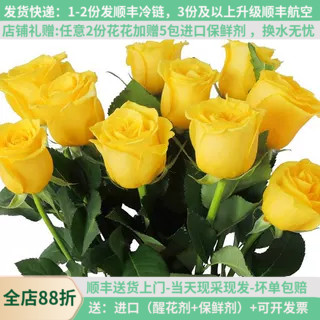 玫瑰的故事黄色玫瑰花基地直发
