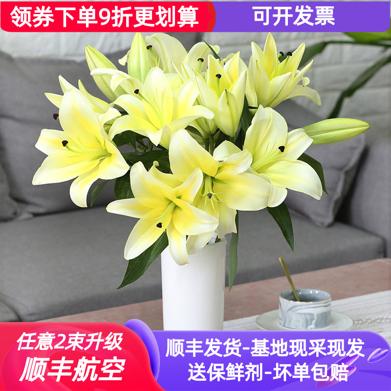 百合花鲜花直批百合家用黄天霸水养一扎斗南花束云南花卉昆明市场
